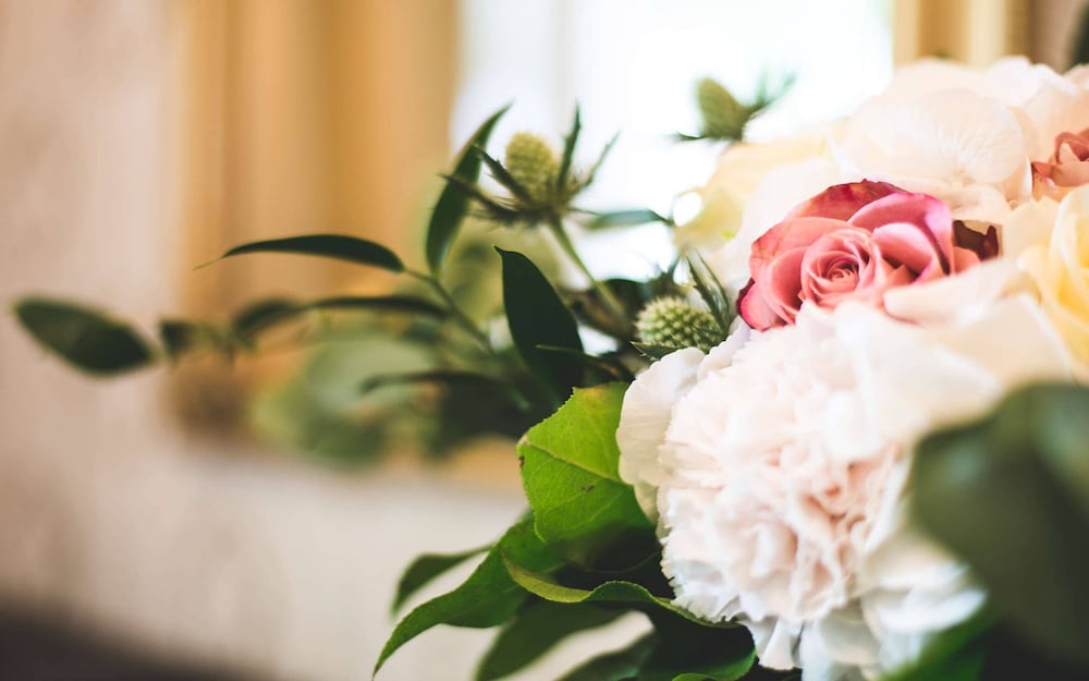 Фото Hotell Bellevue