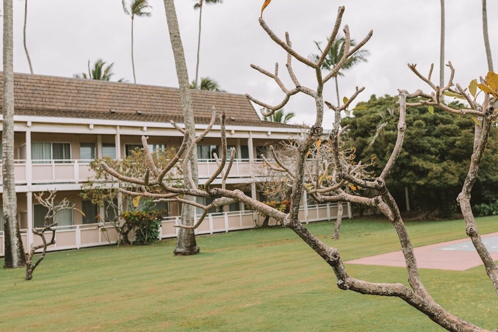 Фото Plantation Hale Suites