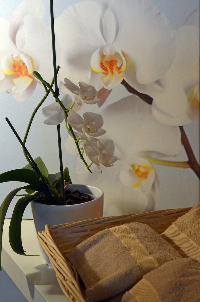 Фото Maya Caprice Boutique Hotel & SPA