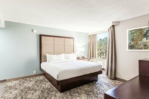 Гостиница DoubleTree by Hilton Hotel Memphis