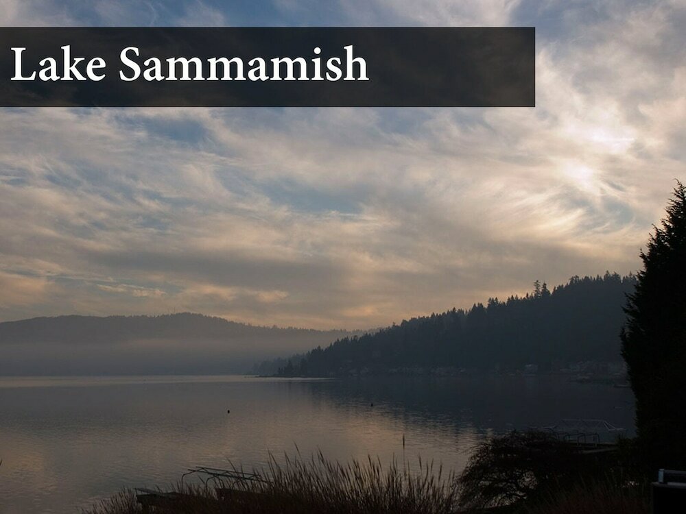 Фото Fairfield Inn & Suites by Marriott Issaquah