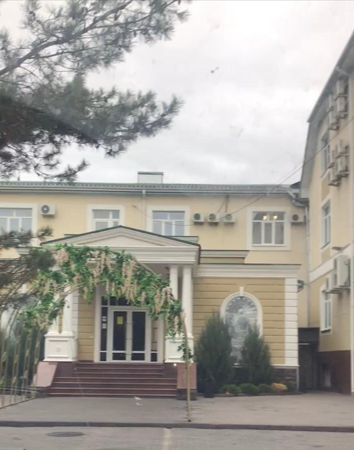 Фото Эдельвейс