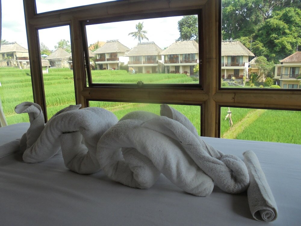 Фото 194778772671