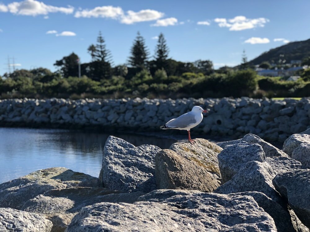 Фото Albany Foreshore Guest House