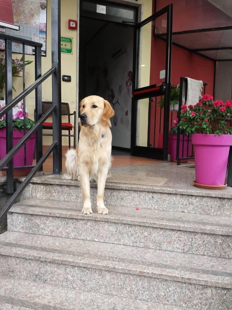 Фото Albergo Renato