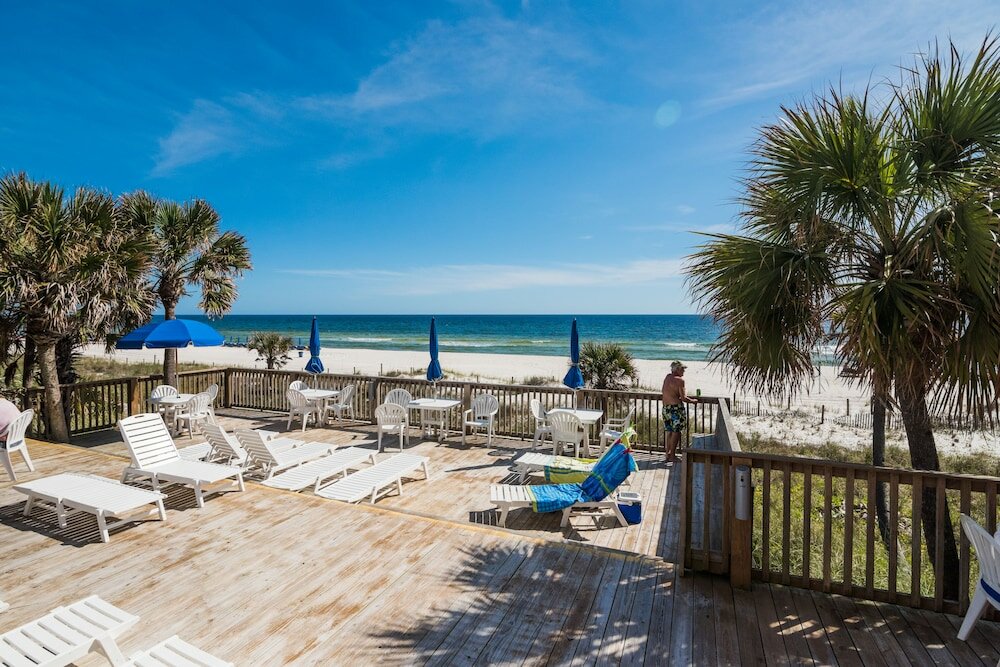 Фото Osprey on the Gulf