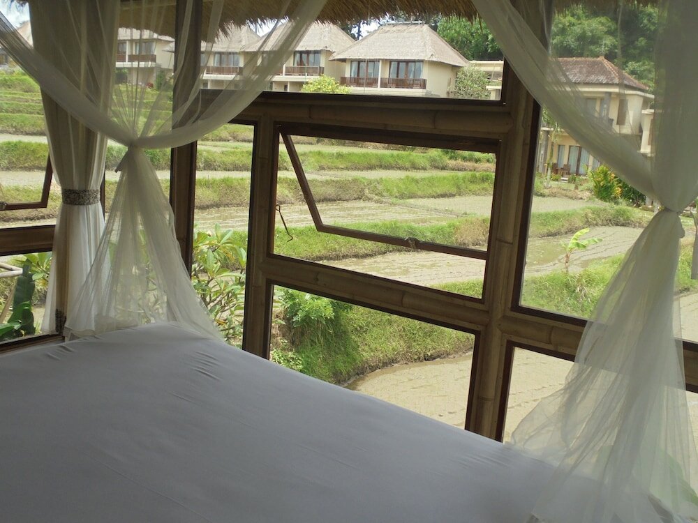 Фото 194778772671