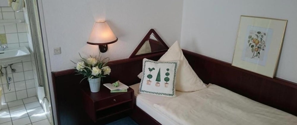 Фото Hotel Froschkönig