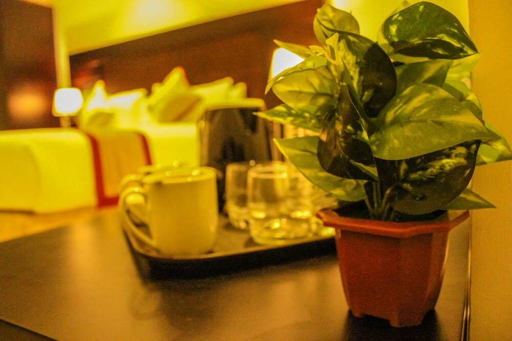 Фото Saveira Colombo