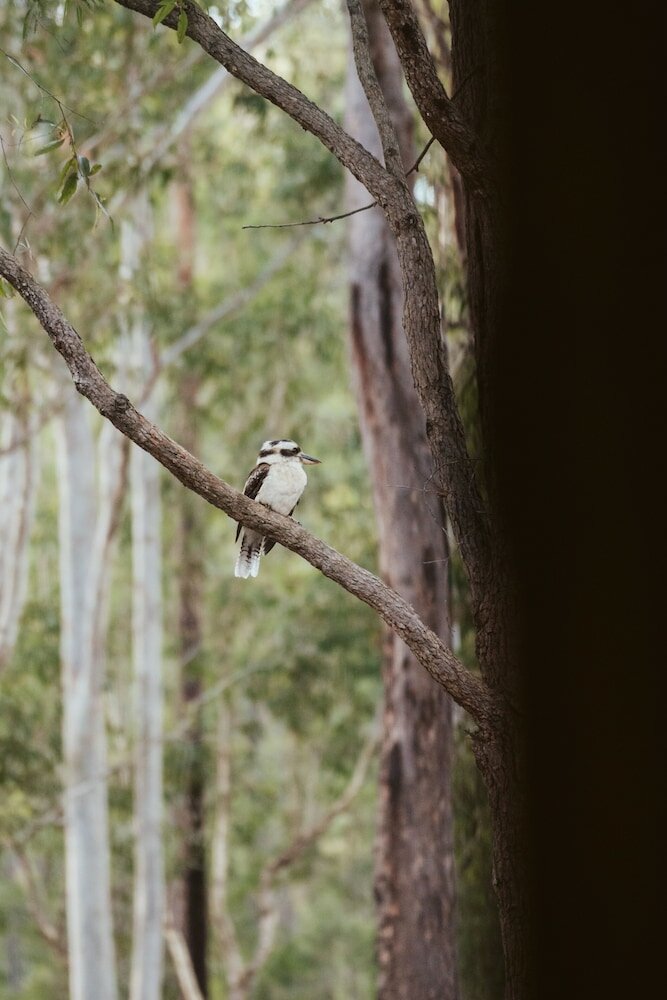 Фото Bay and Bush Jervis Bay