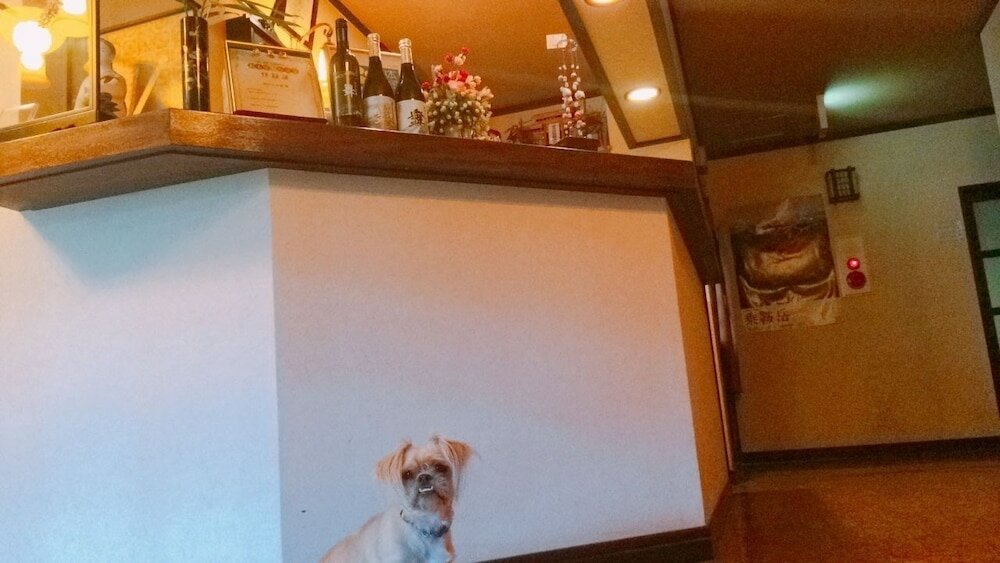 Фото Norikura No Yado Mai