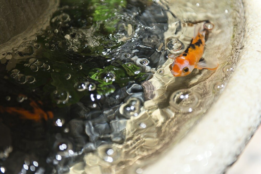 Фото Old Chocolate Factory+