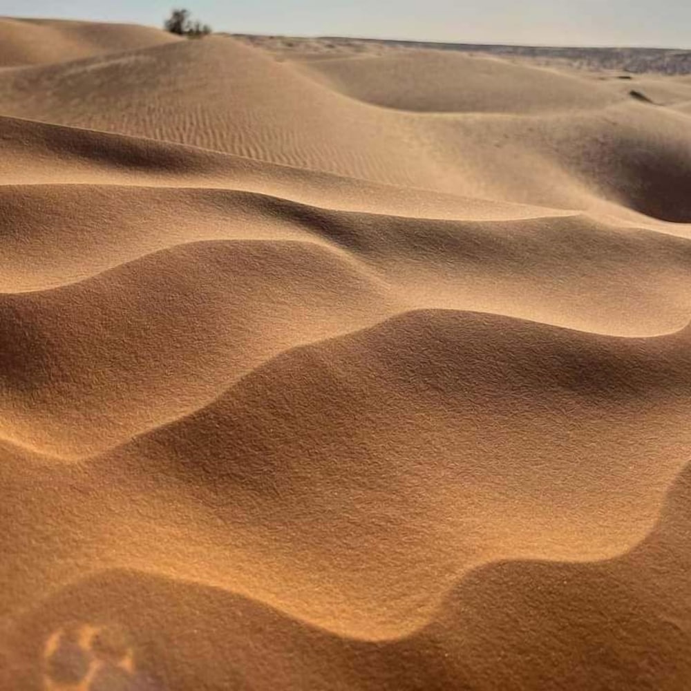 Фото Dar fatma toujane