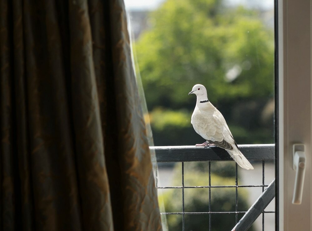 Фото Hylands Burren Hotel