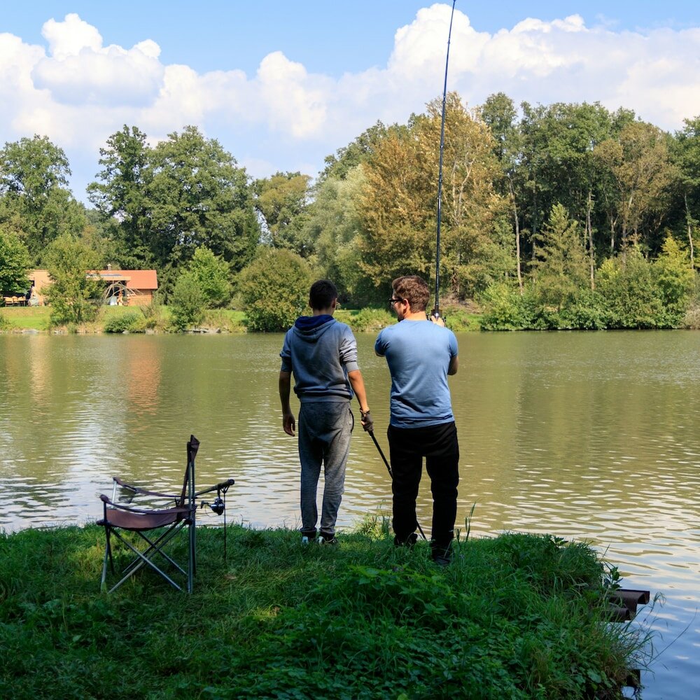 Фото Best Western Hotel Halle-Merseburg