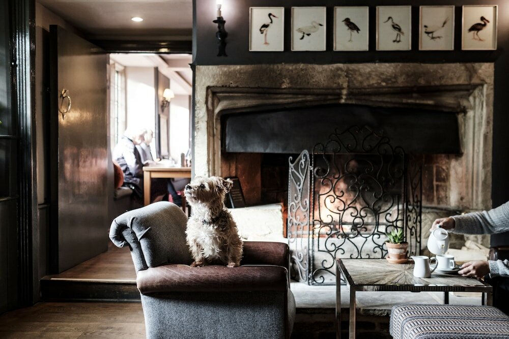 Фото Bay Tree Hotel