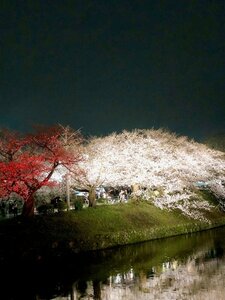 Гостиница Hotel Okura Fukuoka