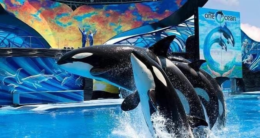 Фото Omni La Mansion del Rio