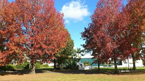 Гостиница Colonial Court Motor Inn в Новом Южном Уэльсе