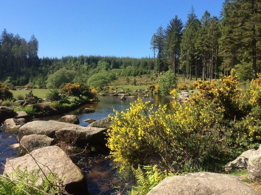 Фото The Bedford Hotel