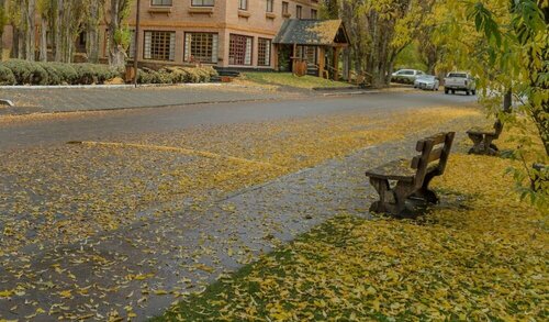 Гостиница Hotel Posada Los Alamos в Эль Калафате