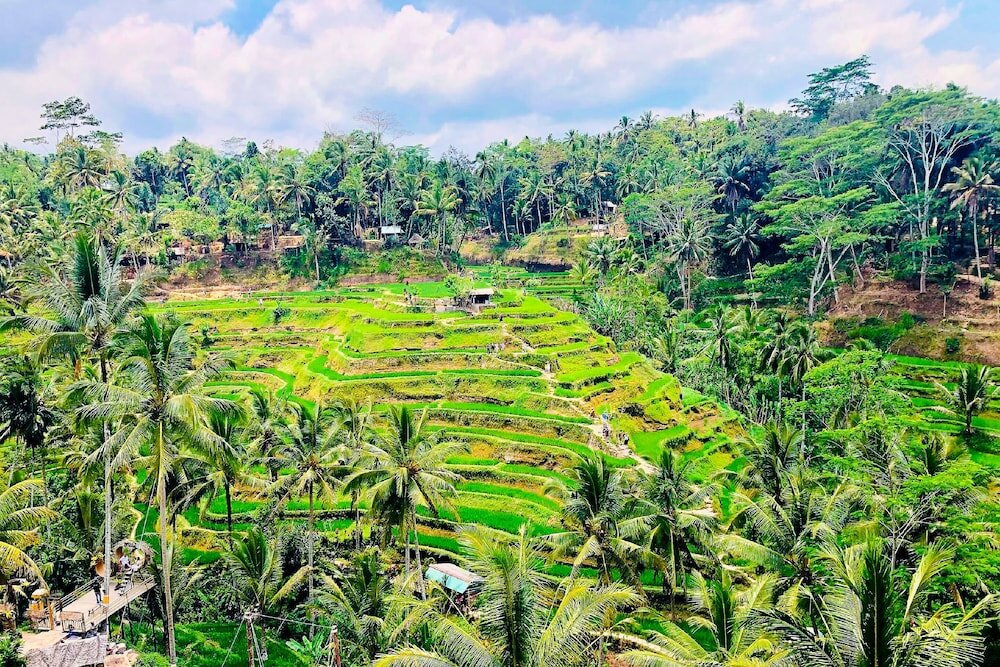 Фото Green Flow Villa 17