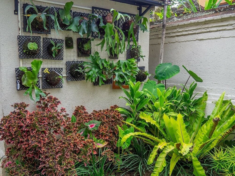 Фото Arumasta Ubud