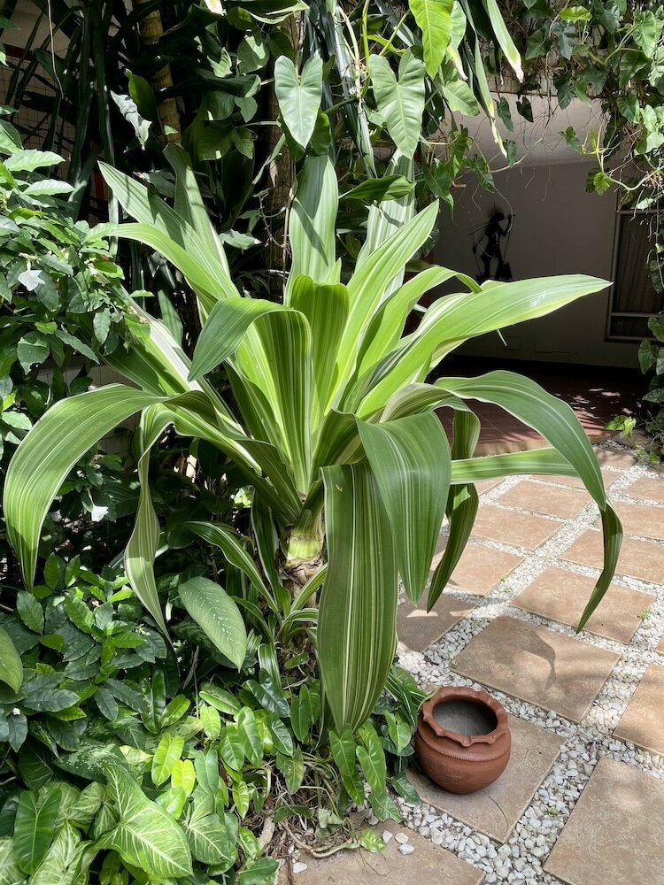 Фото La Cour - Hotels