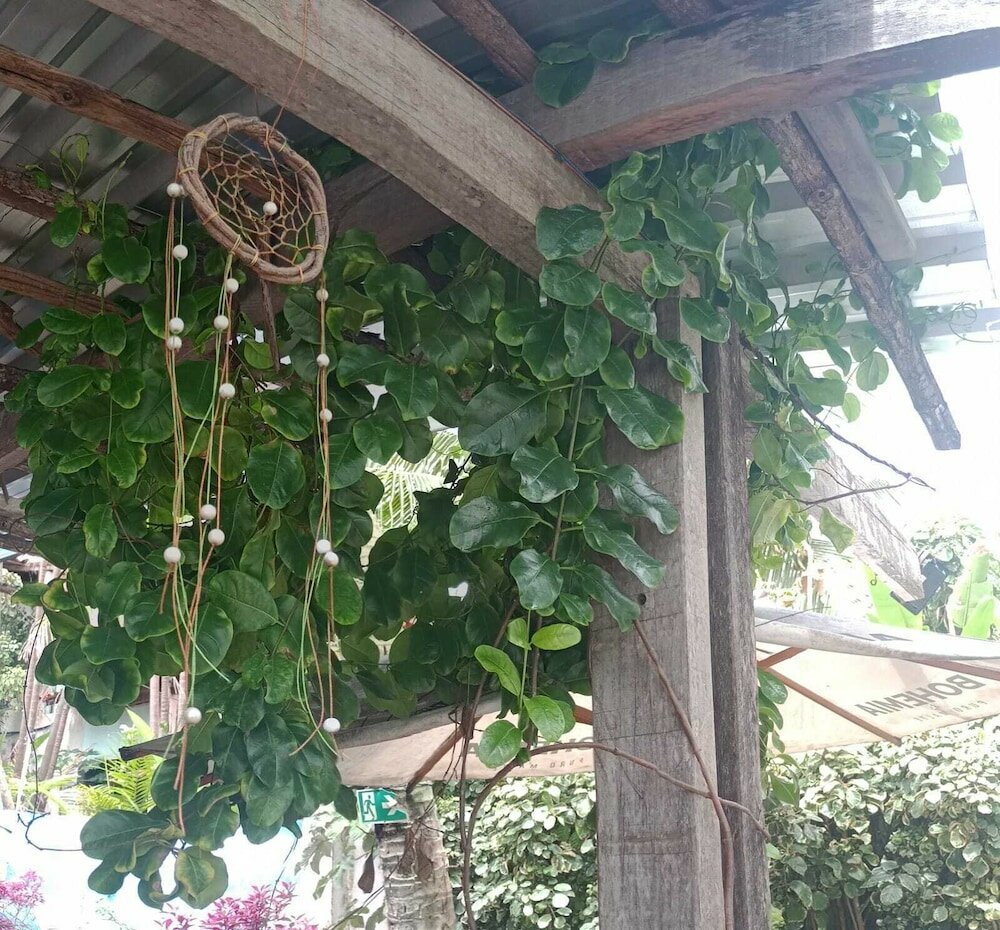 Фото Soul Lounge Hostel