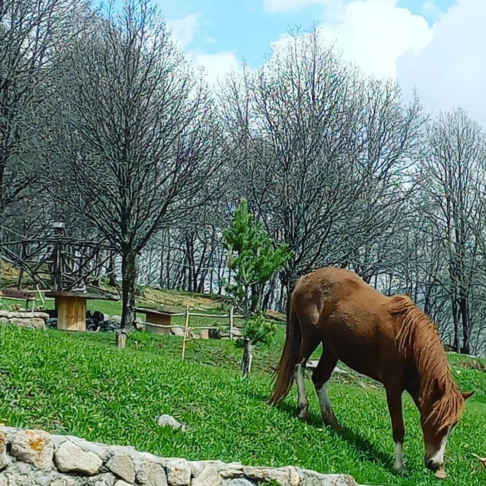 Фото 156473314536