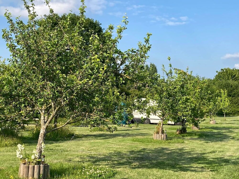 Фото Oxton Hill Hideaway