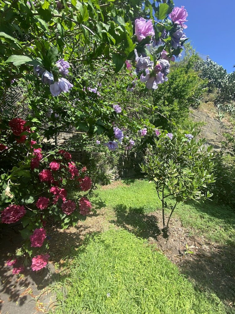 Фото Pensione Sorriso