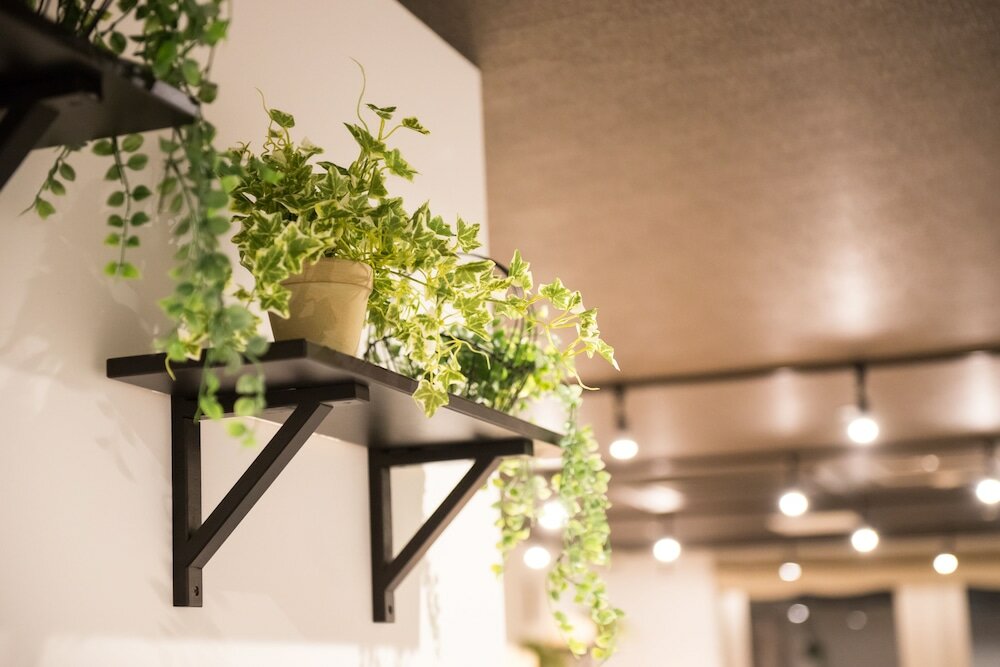 Фото Hostel Kyoto Kizuna