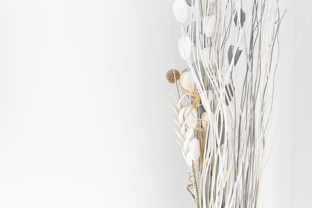 Фото Benalmádena Estudio