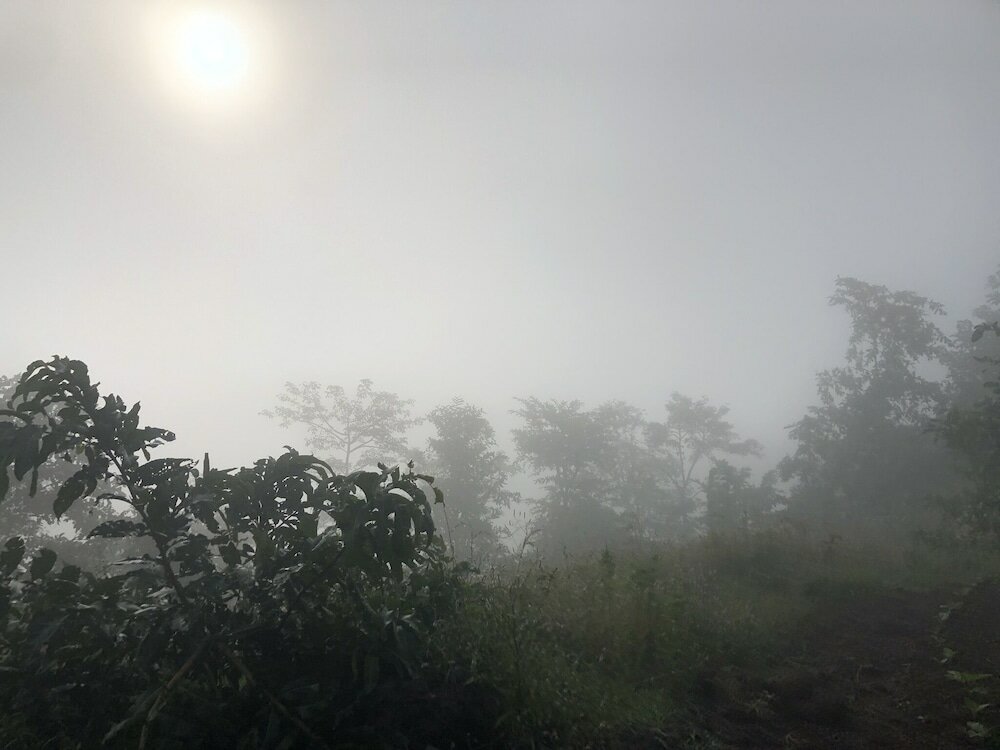 Фото Ananta Ecostays