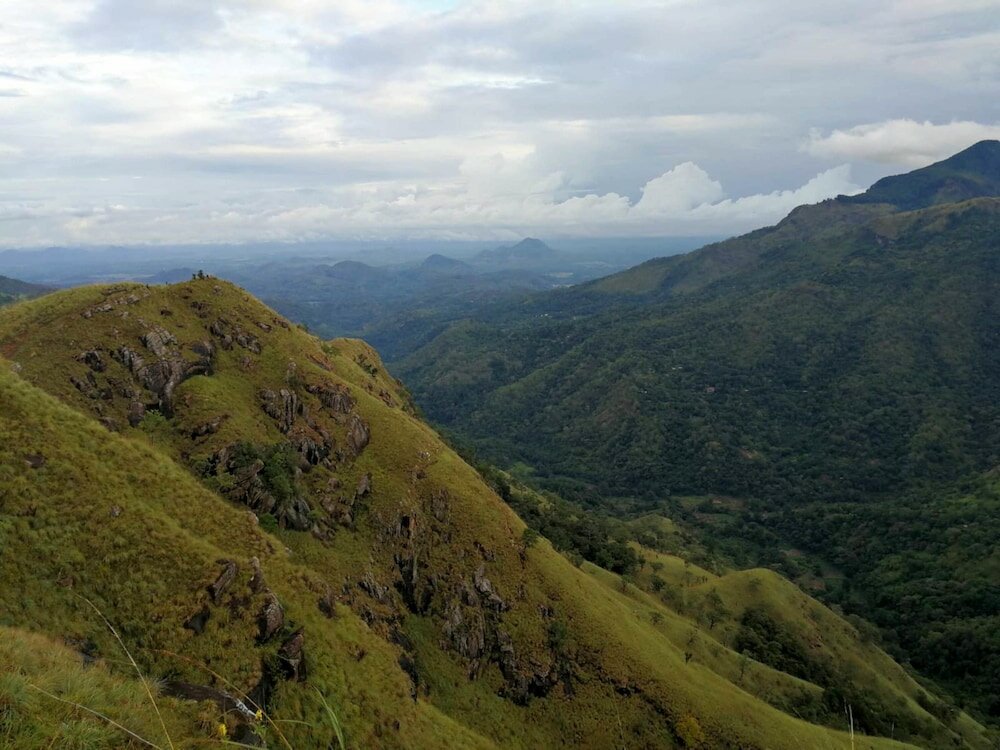 Фото Awesome Place Hotel