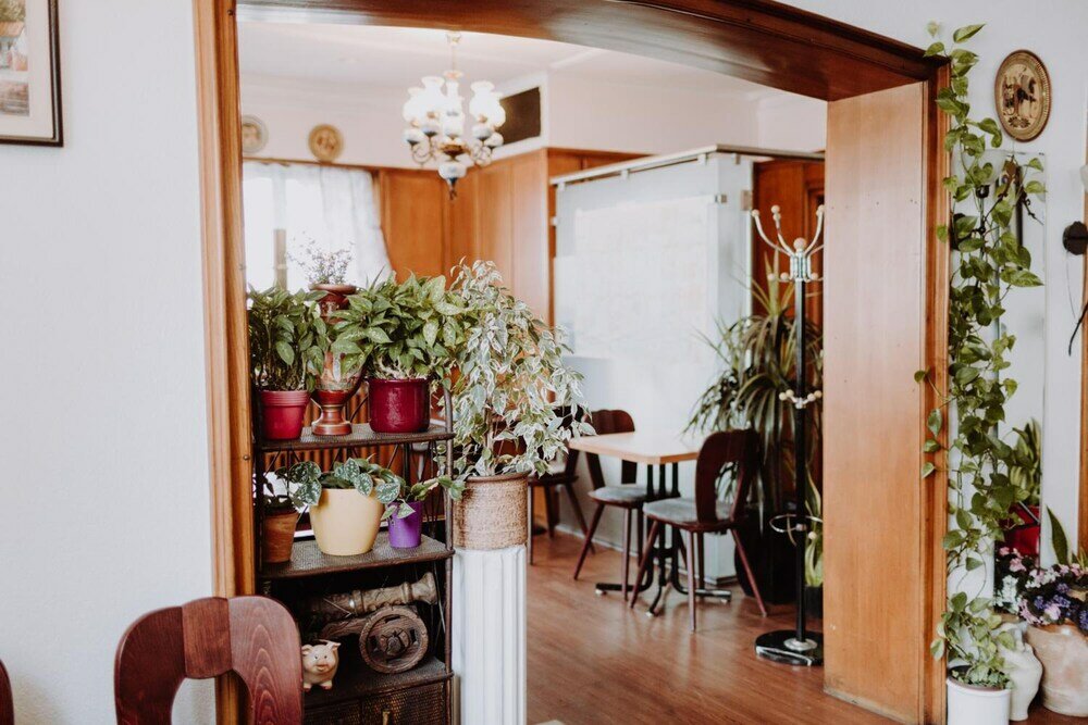 Фото Hotel Moorbadstuben