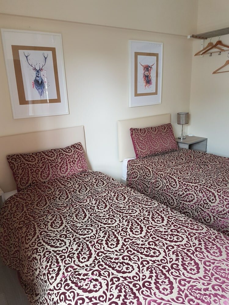 Фото Chamberlain Too