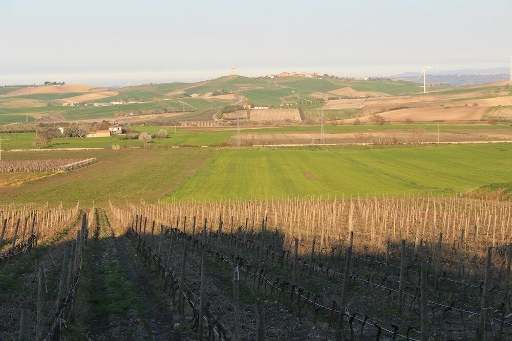 Фото Relais i Dolci Grappoli