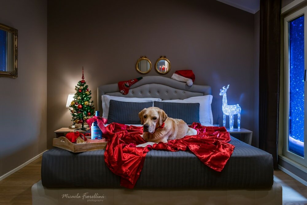 Фото 051 Room & Breakfast