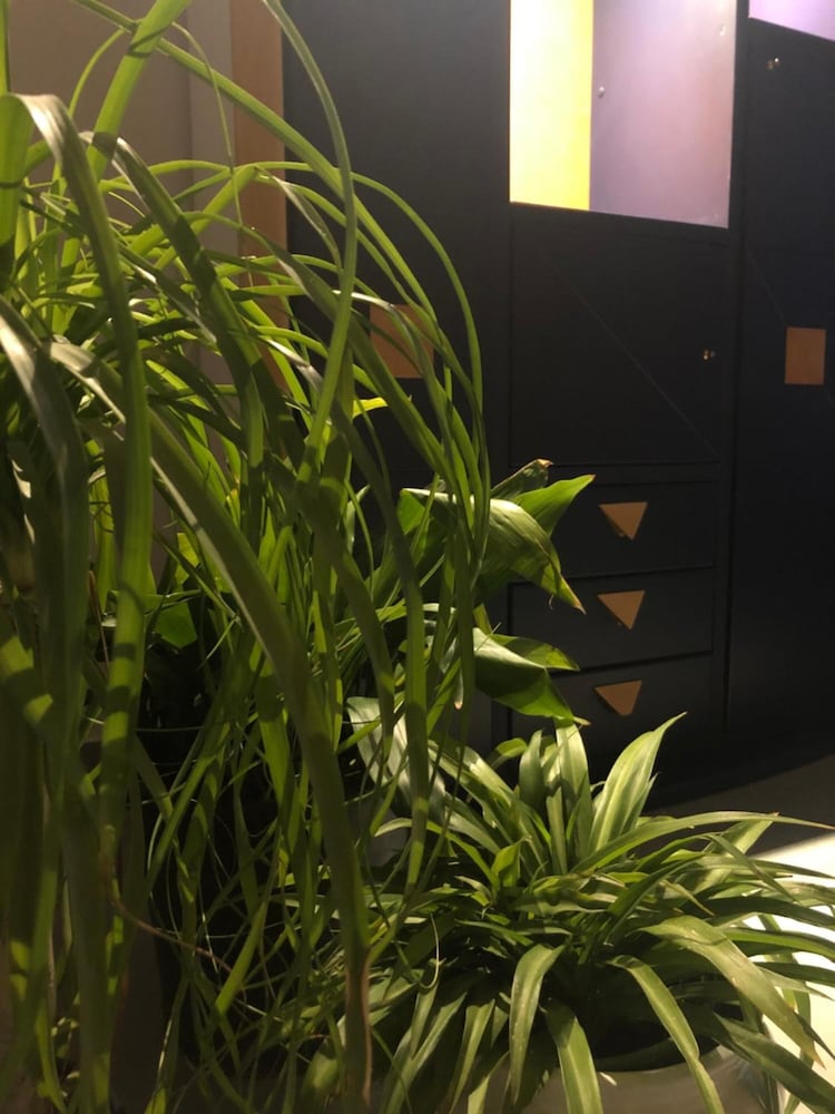 Фото Santa Maria La Nova 21 B&b