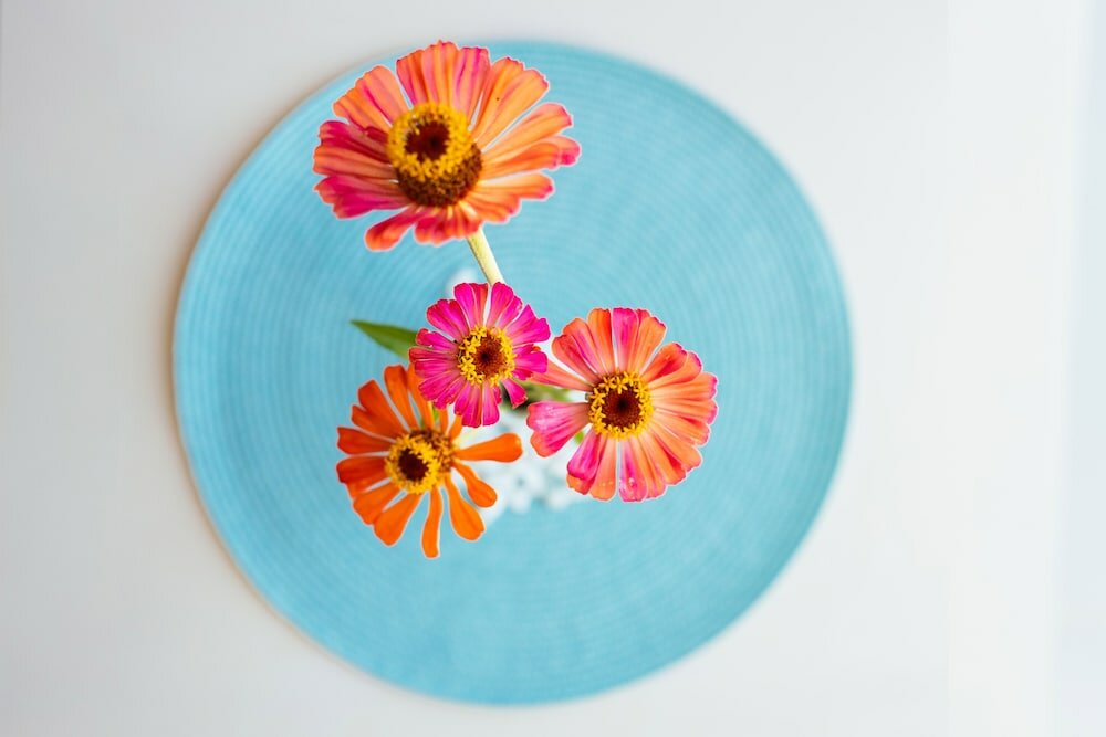 Фото Sea View Luxury Apartment