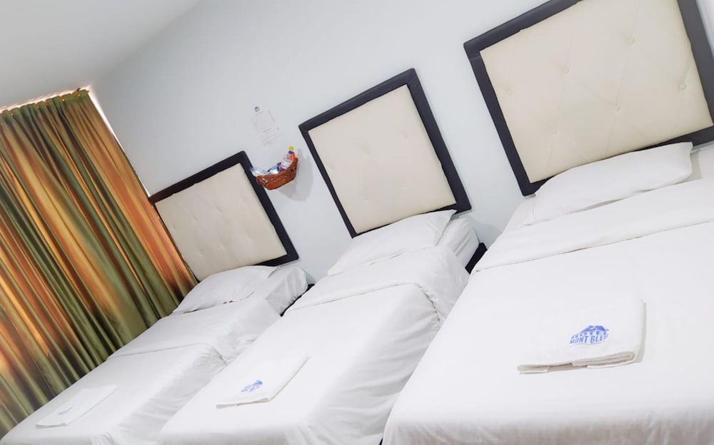 Фото Hotel Mont Bleu