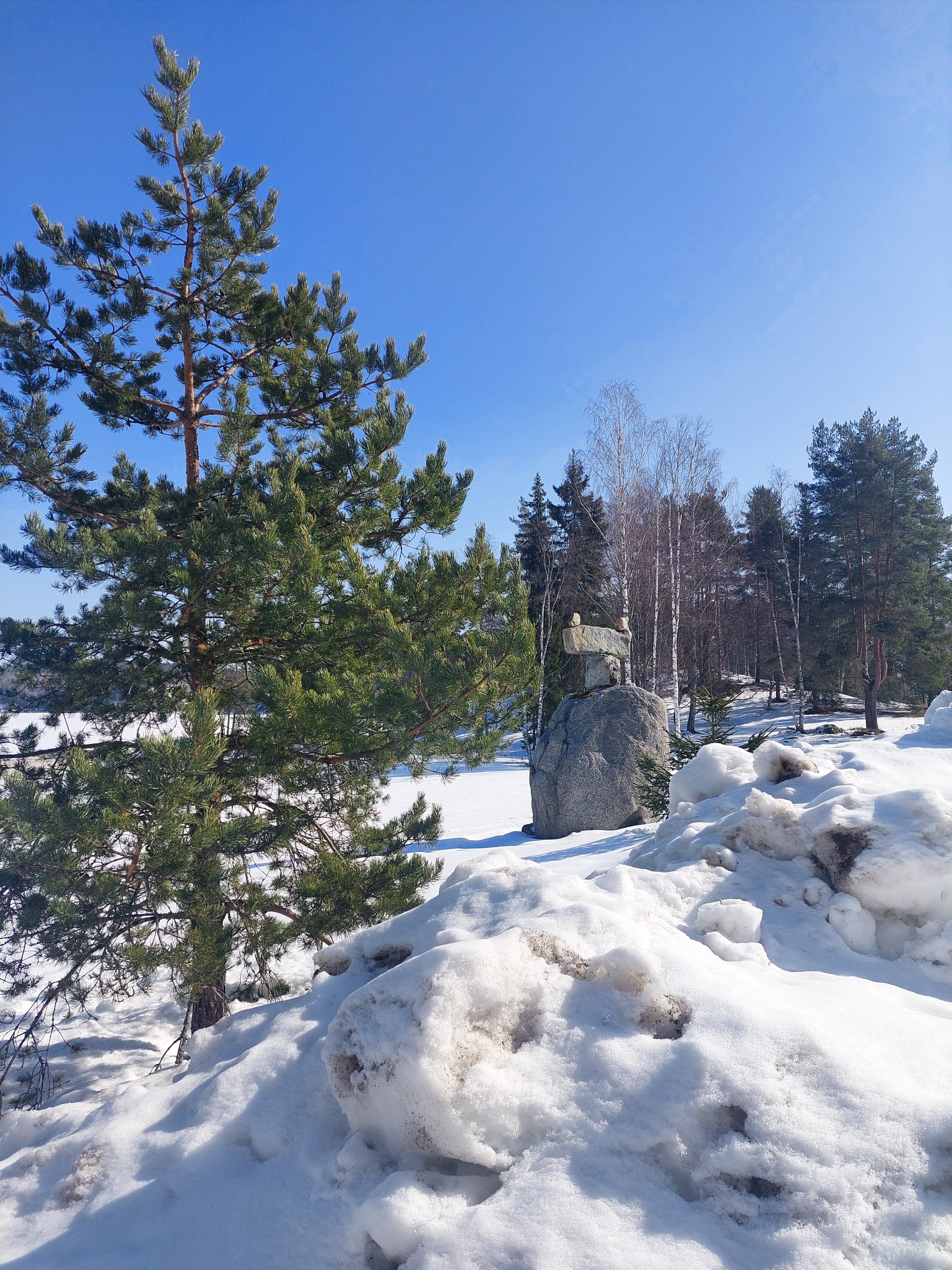 Фото Домики Ихоярви