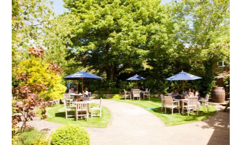 Фото The Pointer