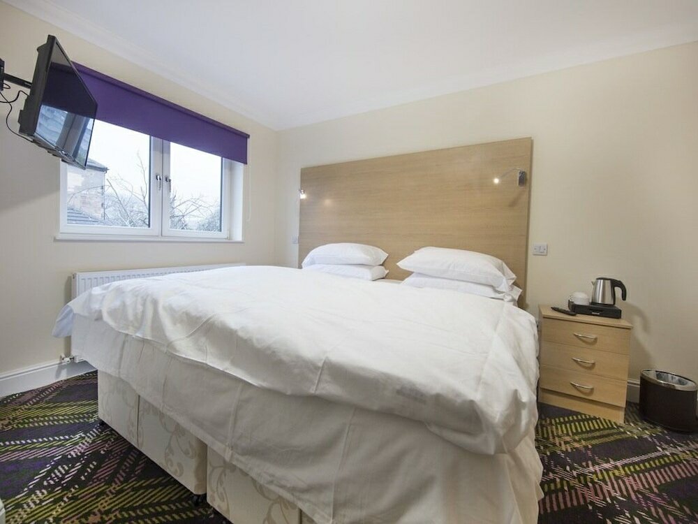 Фото The Bay Horse