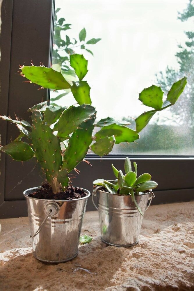 Фото Villa Vollard