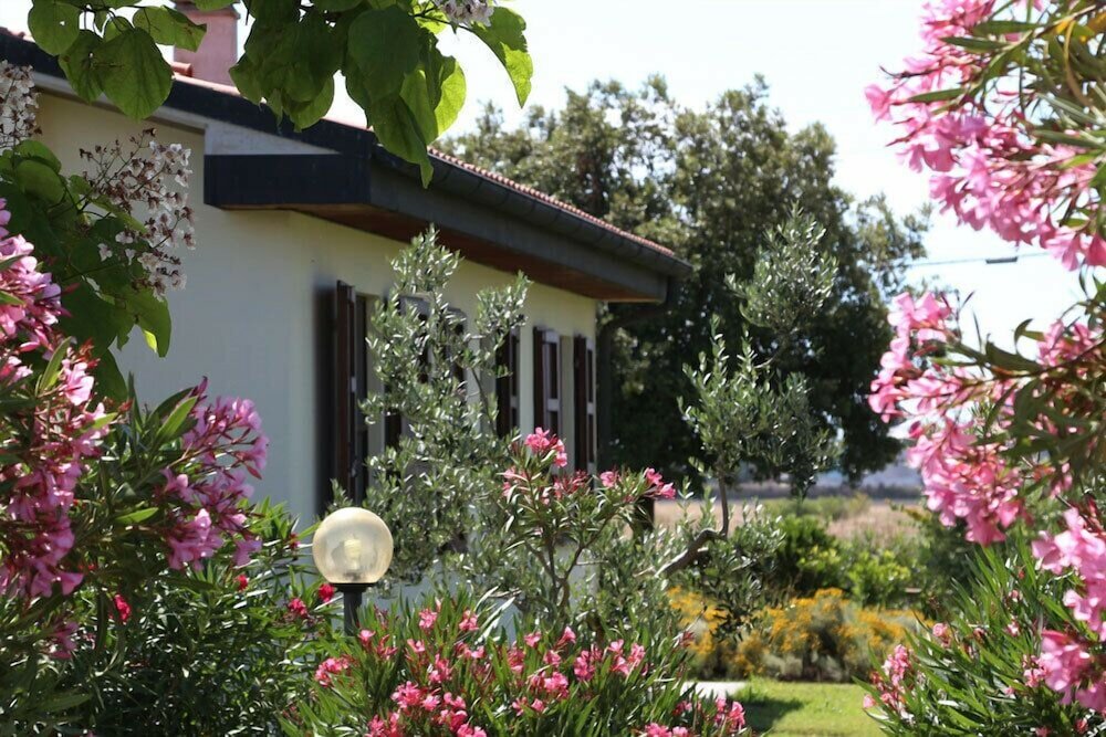 Фото Agriturismo gli Etruschi