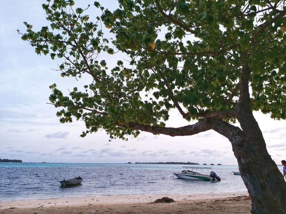 Фото Medhufaru Inn