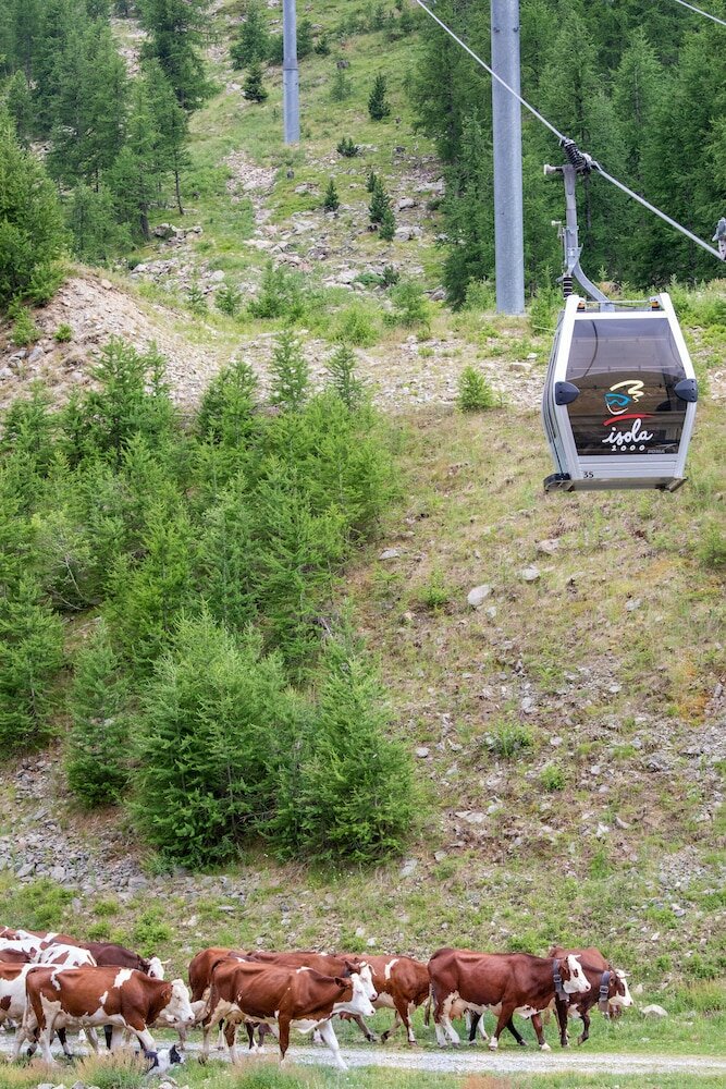 Фото Sowell Hôtels Le Pas du Loup